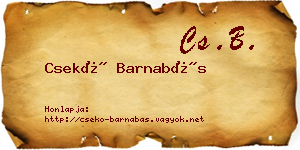 Csekő Barnabás névjegykártya